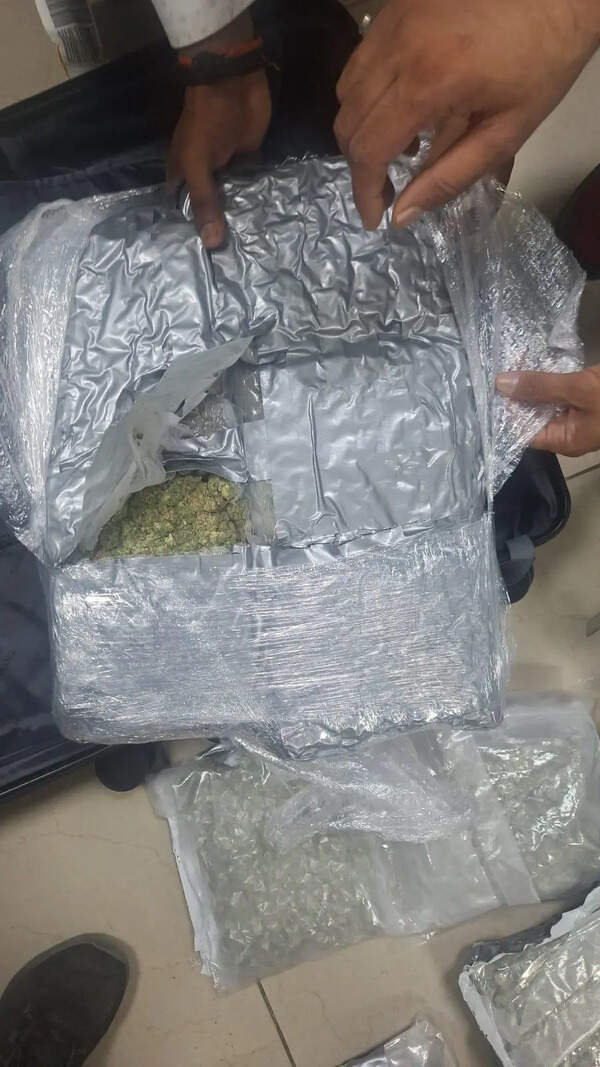 Indore duo posing as couple held at Varanasi airport with hydroponic weed worth Rs 6.93 crore