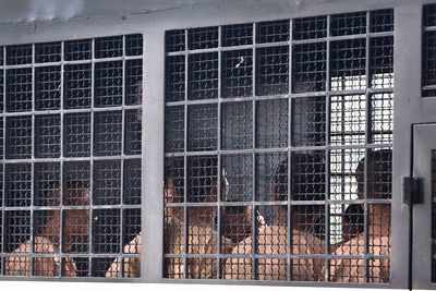 Legal assistance for poor jail inmates in 600 districts by July: Supreme Court