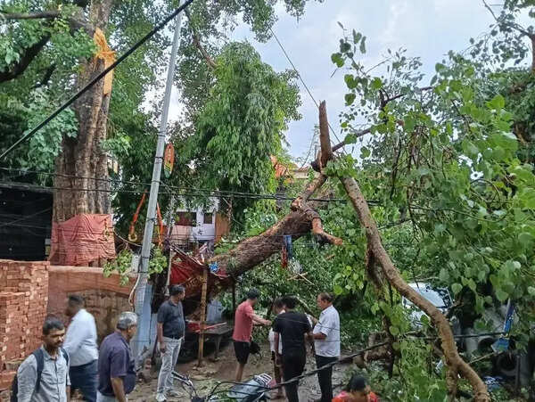 Storm, hailstorm wreak havoc in Kanpur; 2 killed, several Injured