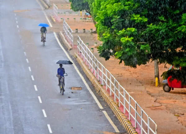 Monsoon on normal course, to advance into parts of Odisha in 3-4 days: Met