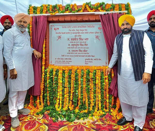 Punjab 1st state with pole-free villages: CM launches underground wiring project