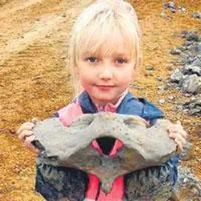 Girl finds 50,000-yr-old backbone of rhinoceros