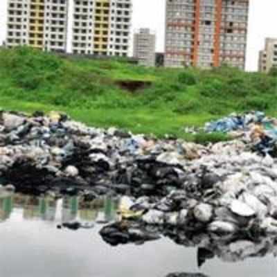 Cattle dead, residents infected by toxic dump