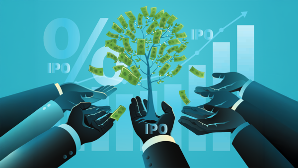 As IPO frenzy takes over, here’s what every investor needs to know