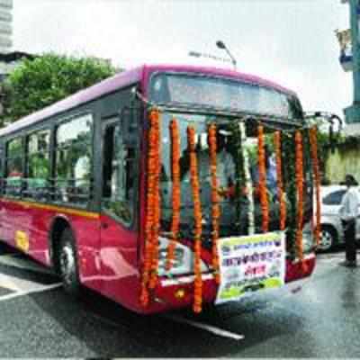 Five more buses join TMT fleet