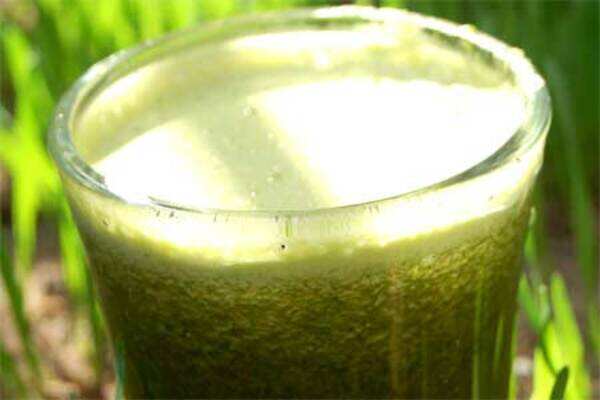 Green vegetable juice recipe