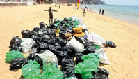 Beer bottles outnumber tourists on Goa's Grande Island, clean-up exposes scale of neglect