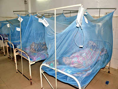 500 dengue cases in a day