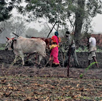 ‘Waiver to farmers stolen from Dalit, adivasi budget’