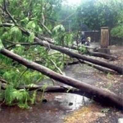 Heavy rains lash coastal districts in AP