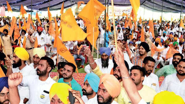 Dance of democracy: Lawlessness a major issue in Punjab's Ferozepur, say opposition parties