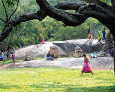 Walk in Cubbon Park turns traumatic for homemaker