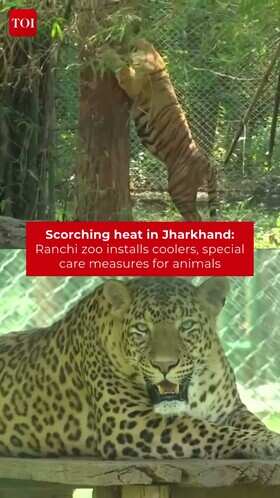 Ranchi Zoo Installs Coolers To Protect Animals From Heat