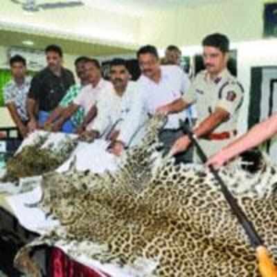 Animal skin racket busted by Thane rural police