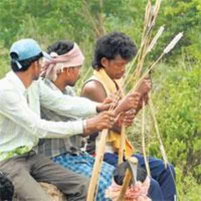 '˜To flush Maoists, you will have to evict entire villages'