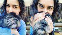 Shraddha Kapoor’s latest picture with her pet dog is too cute to miss! 