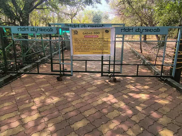 Binkadakatti Zoo shut to contain deadly bacterial disease