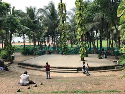 Civic chief cracks whip on ‘concrete’ gardens