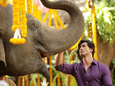 Vidyut Jammwal: The elephant could be the next dinosaur