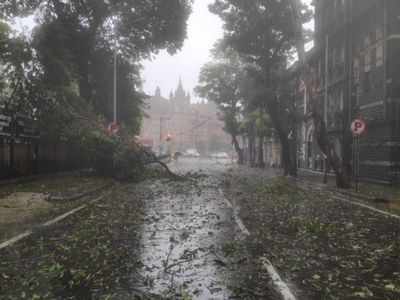 Mumbai latest weather update: Intense to very intense rainfall with strong winds likely in Mumbai over next 3 hours, warns IMD