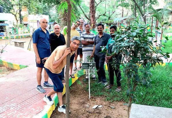 Residents tag flora using QR code, name boards in Indira Nagar park