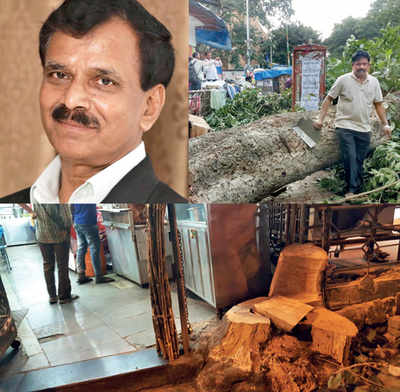 A tree fall death in Chembur BMC tried to hush up