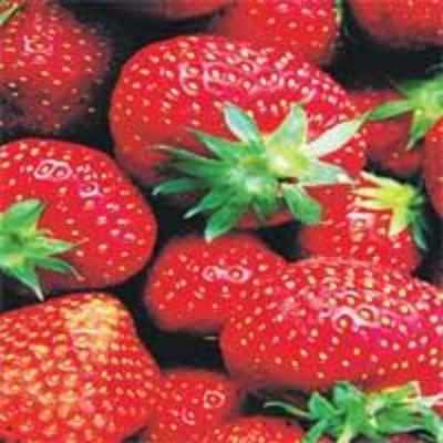 Japan farmer sells giant strawberries for Rs 27,000 each