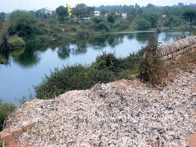 Trash-passers should be prosecuted to save lake