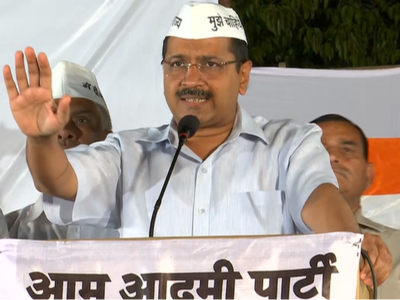 Goa Lok Sabha Polls: AAP eyes support of first-time voters
