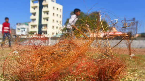 A thin plastic string takes lives, killing the spirit of a festive sport