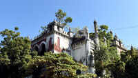 Trees aren’t good for this 250-year-old heritage building 