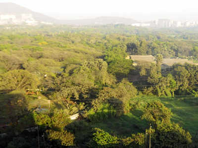 Aarey loses land again, this time to Force One