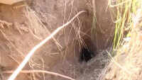 'Possibility of more underground tunnels existing along LoC' 