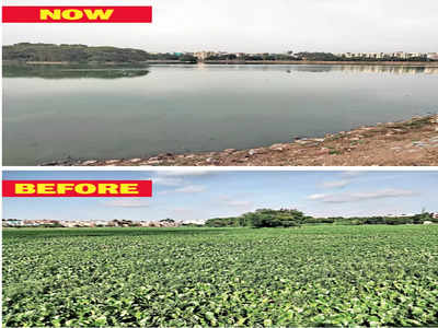 Vibhutipura Lake: No weed, no hyacinths, all clean