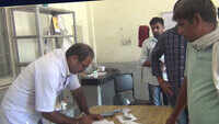 Cattle registration work benefitting farmers in Haryana 