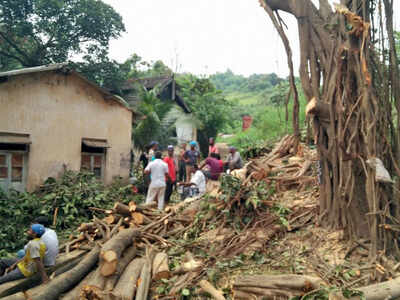 33,000 say no to axing 2,702 trees for Metro shed