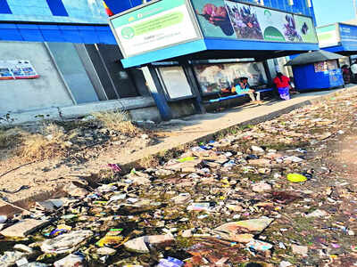 Litterbugs, spare us please