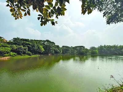 Bengaluru, we have a problem: It’s our lakes