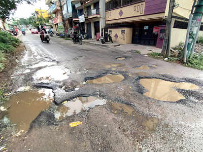 Road to El Dorado: Palike says contracts will ensure pothole-free stretches and pedestrian-friendly pavements
