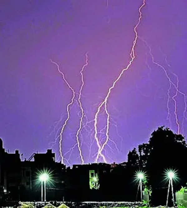 Thunderstorms, gusty winds likely across AP till May 18, says IMD