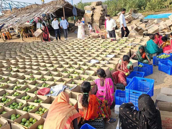 Green revolution: How Bihar farmers are earning lakhs with cluster farming
