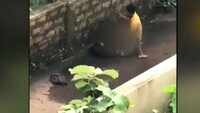 Shocking! Jilted lover stabs girlfriend, slits own throat 