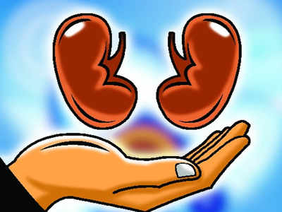 Mumbai: 70-year-old maternal great-grandmother donates a kidney, four-year-old girl gets a new lease of life