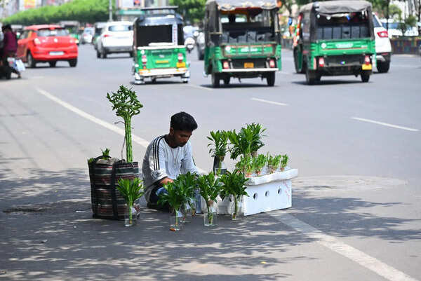 Andhra Pradesh to experience hotter June with increased heatwave days, IMD forecasts