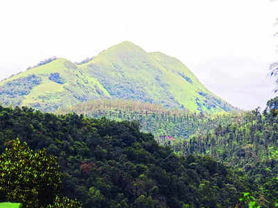BM Trippin’ Tales: To trek or not, that is the question when it comes to Western Ghats