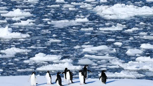 Antarctic talks in Japan: key things to know