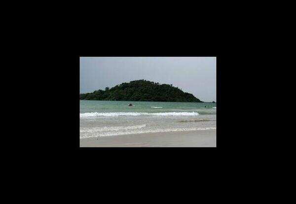 <p>Organic produce: Of Goa, by the Goans, for the Goans</p>
