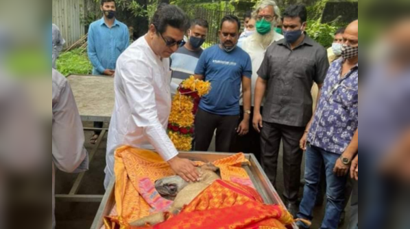 Raj Thackeray's pet James passes away; MNS chief bids teary goodbye
