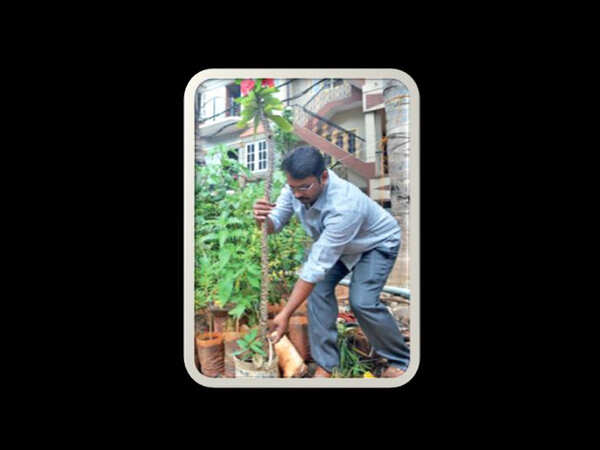 Cabbie swaps booze for greening Bengaluru