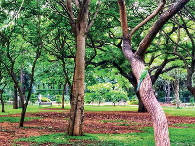 Story behind the photo: Spot the bird